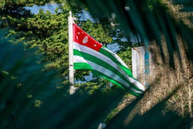 ve palmiye ağaçlarının dalları arasında Abhazya bayrağı