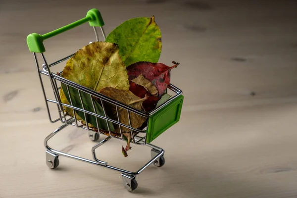 Alışveriş Sepeti Içinde Ahşap Arka Plan Renkli Sonbahar Yaprakları Ile — Stok fotoğraf