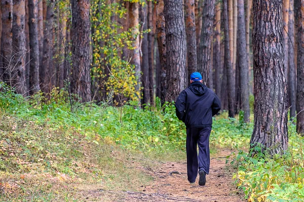 running in the autumn forest man pine forest
