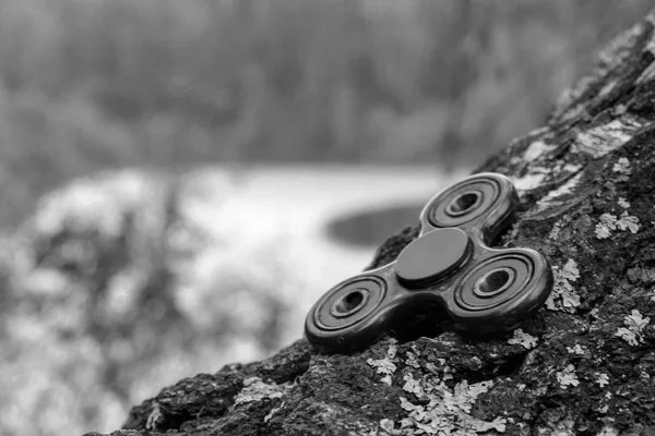 Schwarz-Weiß-Fotografie, auf der der Spinner auf einer Birke ruht — Stockfoto