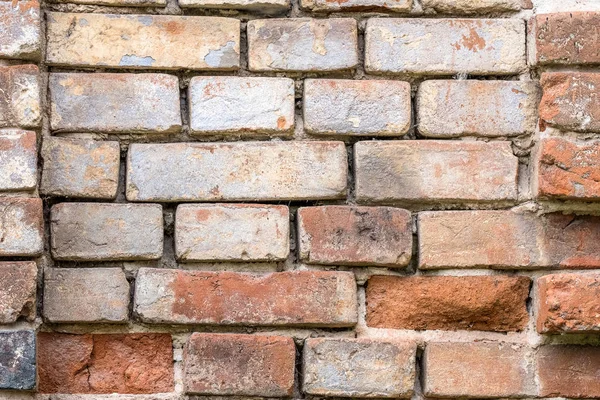 Кирпичная Стена Цветного Кирпича — стоковое фото