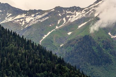 Dağın eteklerinde orman