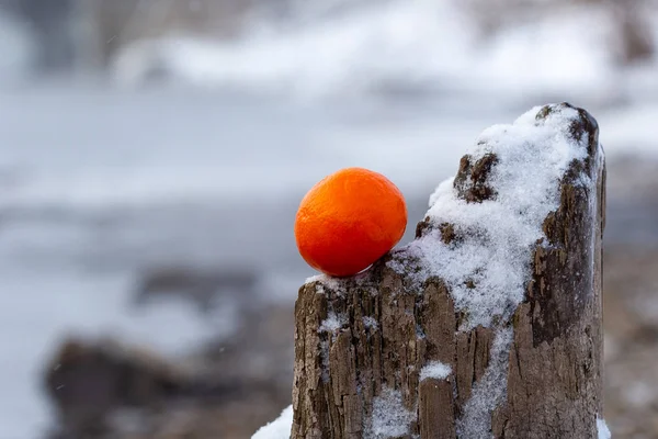 Oranje Winter Een Gebroken Oude Droge Boom Tegen Achtergrond Van — Stockfoto