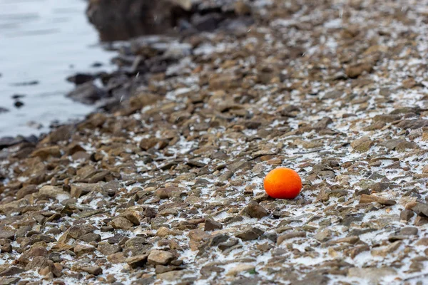 rocks and snow on the bank of the river here is an orange among the snow and ice