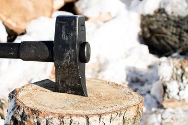 kavak ağacı güdük odun kışın odun kesmenin üzerinde çalışmak