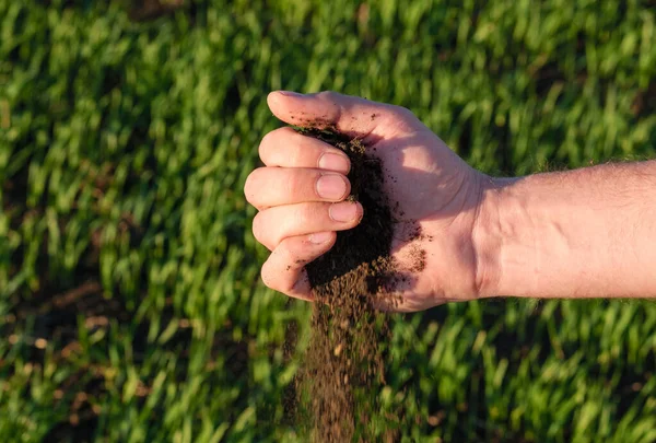 La tierra se derrama de la mano al fondo de un campo plantado en primavera —  Fotos de Stock