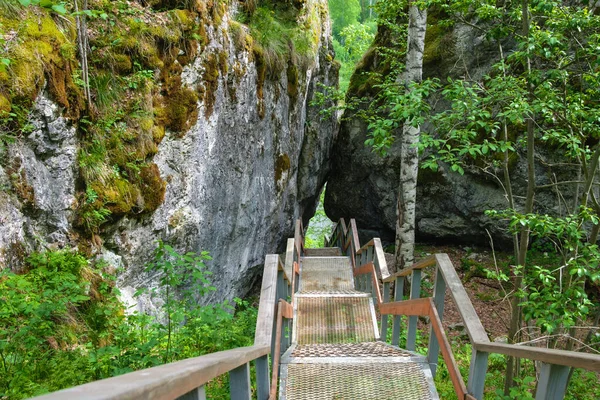 Ormandaki kayaların arasına inmek için metal merdiven.