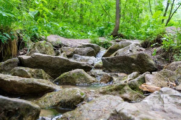 Ormandaki temiz suyla kaplı kayalar yosun ile kaplanmıştı. — Stok fotoğraf