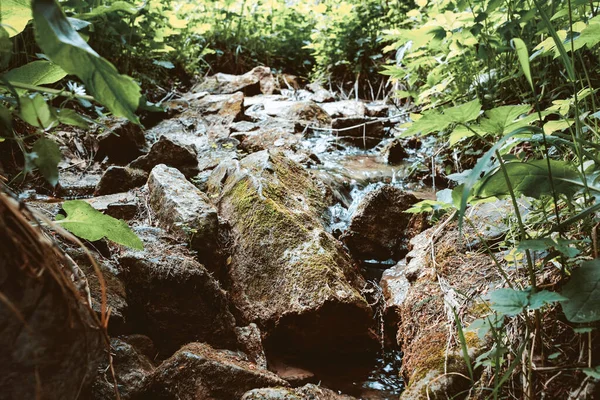 Ormandaki dağ deresi yosunlarla kaplı taşların arasında akıyor. — Stok fotoğraf
