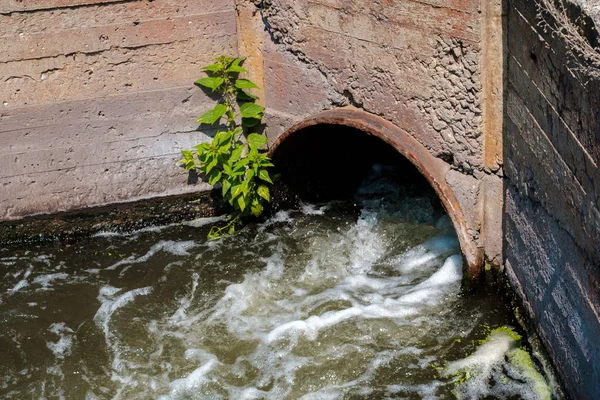 Um fluxo de água que flui de um tubo em uma parede de concreto — Fotografia de Stock