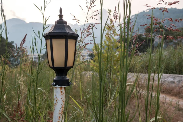 lantern in the long grass in the daytime on a stand