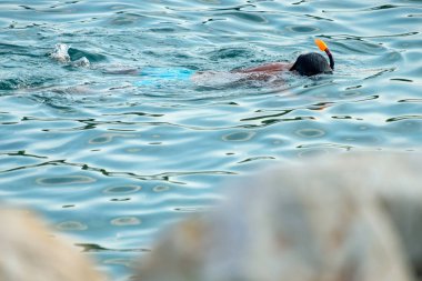 Bir adam maske takıp yüzüyor ve tüpü sudan dışarı çıkıyor.