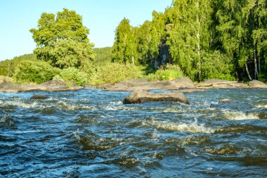 Fırtınalı nehir ormanı köpüklü ve köpüklü