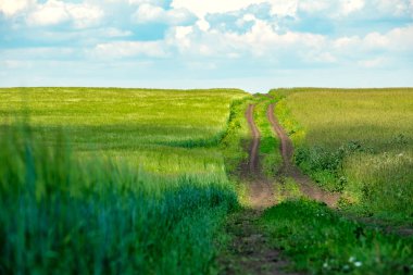 Ufuk çizgisine uzanan bir alan yolunun alçak noktasından görünüm