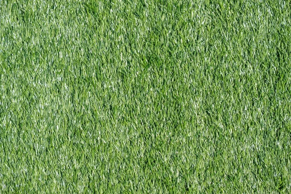 Yeşil çimenlerin sağlam arka planı suni çim — Stok fotoğraf