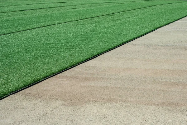 Diagonal made of synthetic green grass — 스톡 사진