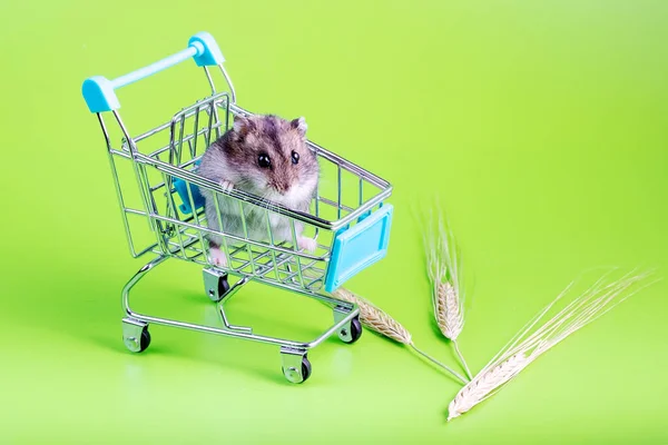 Een Supermarkt Kar Een Knaagdier Hamster Een Groene Achtergrond Rond — Stockfoto