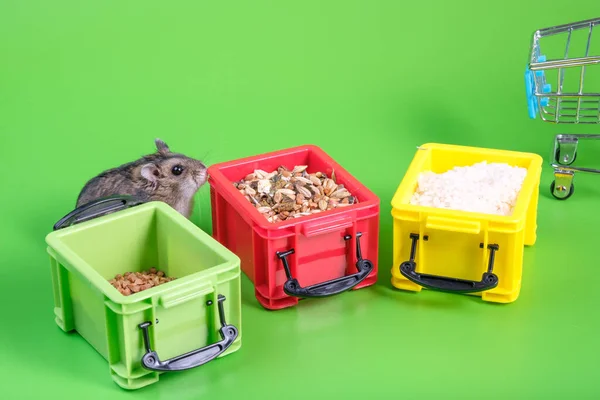 Achtergrond Groen Buurt Van Drie Plastic Containers Met Granen Zit — Stockfoto