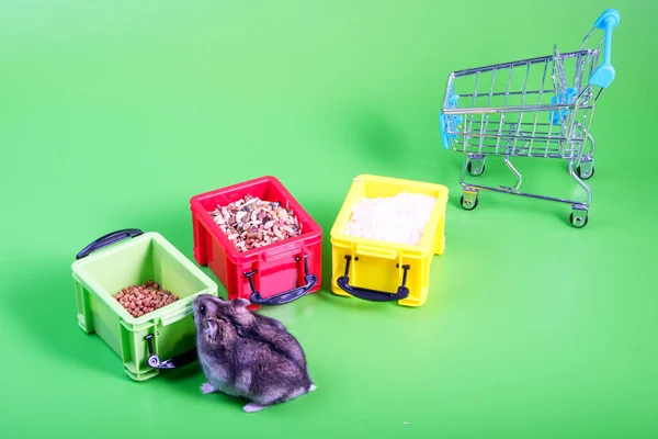 in plastic containers grain is stored in them the rodent rummages nearby the cart from a supermarket. green background