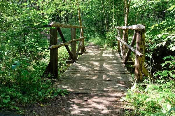 Pont Bois Dans Forêt Sur Ravin Pour Commodité Voyager Dans — Photo