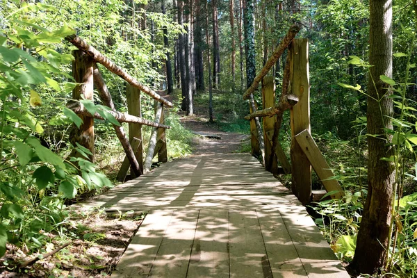 wooden simple bridge in the forest on a hiking trail. convenient bridge for hiking