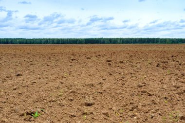 Kahverengi toprak çiftçi tarlasında kışa hazırlanıyor. Cennet ve Dünya