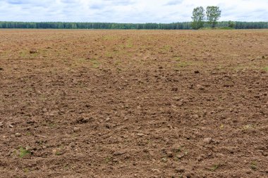 Ön planda, arka planda ağaçlar ve gökyüzü olan tarlalar var. Tarladaki dinginlik Taze toprak sürüldü