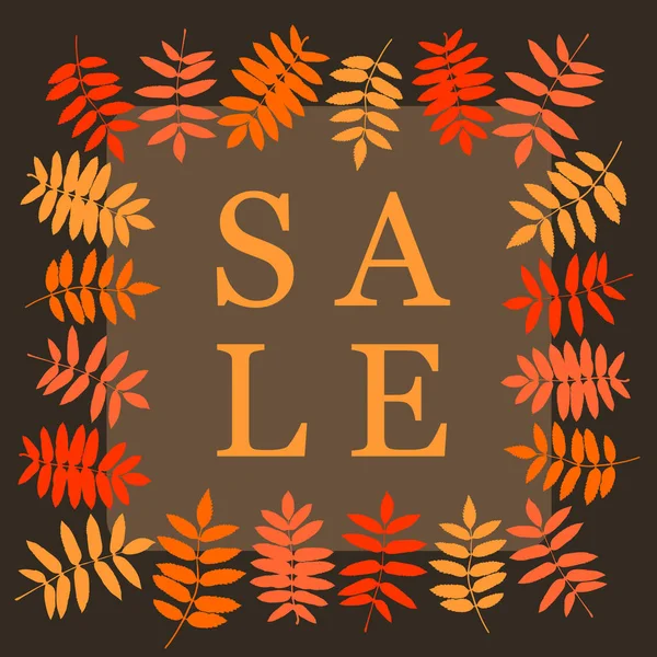 Banner cuadrado de venta de otoño con hoja de rowan. Marco de hojas — Vector de stock