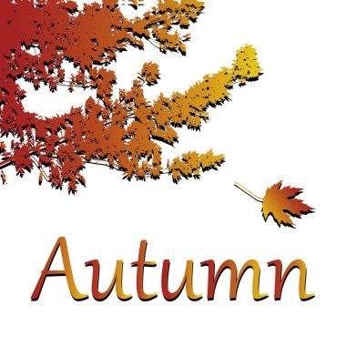 Vektör yaprak. Beyaz arka plan üzerinde sonbahar illüstrasyon