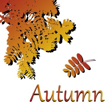 Vektör yaprak. Beyaz arka plan üzerinde sonbahar illüstrasyon