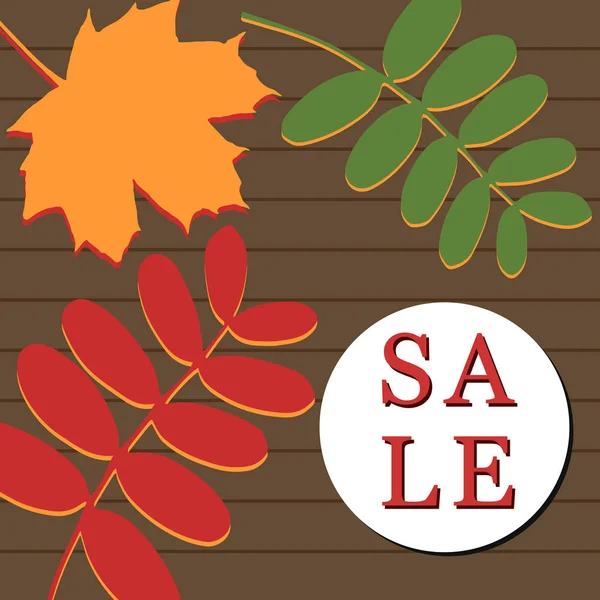 Banner de venda de outono com rowan e folha de bordo . — Vetor de Stock