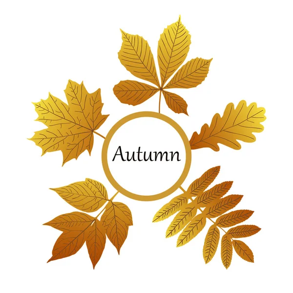 Autumn sale banner with bouquet of leaf. Circle frame with leaves. — Stock Vector