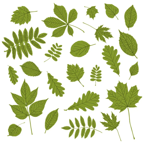 흰색 바탕에 녹색 잎 실루엣의 컬렉션 — 스톡 벡터