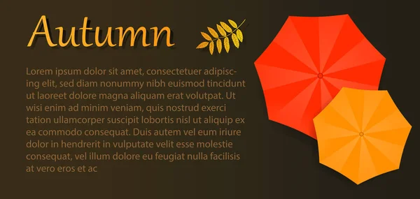 Sonbahar vektör el ilanı şemsiye. Reklam broşürü — Stok Vektör