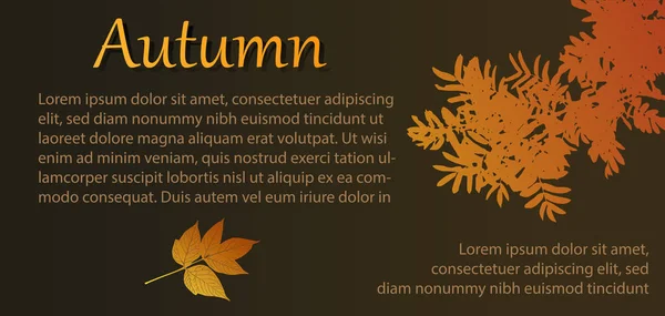 Dal ve yaprakları ile sonbahar afiş reklam — Stok Vektör