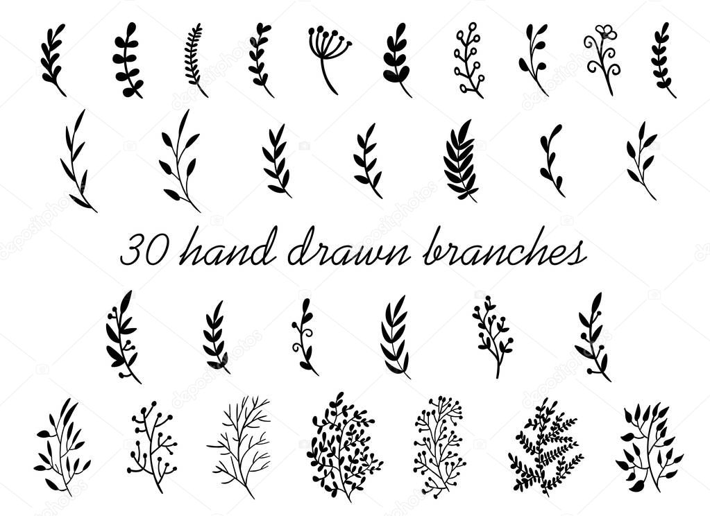 Hand drawn branches with leaves isolated on white background. Decorative floral elements for your design. Vintage vector