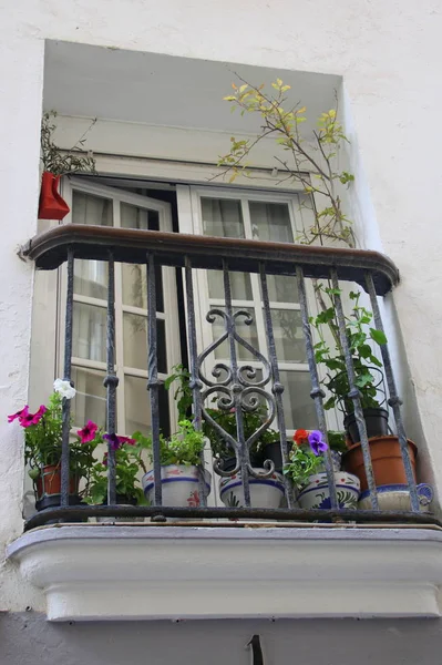 Verano balcón verde — Foto de Stock