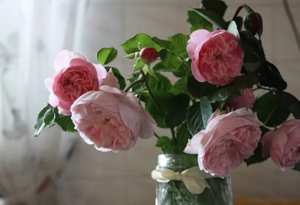 Rosor rosa bukett Royaltyfria Stockbilder