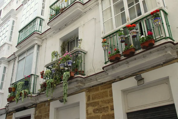 Jardin balcon vert — Photo