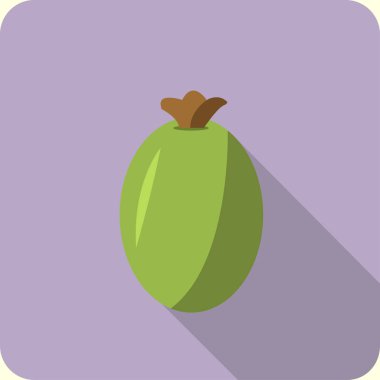 Feijoa düz simgesi