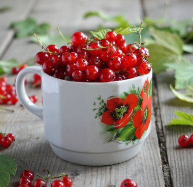 bir bardak kırmızı kuş üzümü