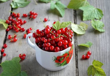 bir bardak kırmızı kuş üzümü