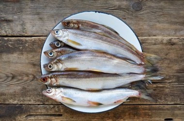 Tabakta çiğ balık satıcısı.                               
