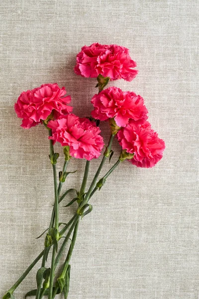 Strauß Rosa Nelken Auf Grauem Stoff Hintergrund — Stockfoto