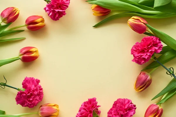 Tulpen Und Nelken Auf Hellem Hintergrund — Stockfoto
