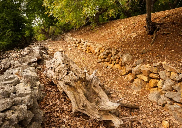 Beli yakınındaki antik Roma yolu