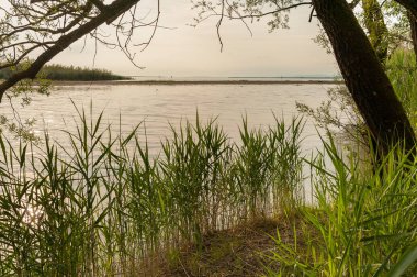 Lake Bodensee Avusturya