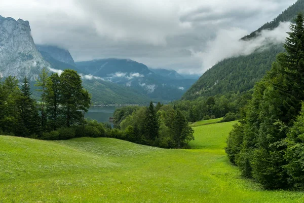 Zielona łąka w Alpach w pochmurny dzień — Zdjęcie stockowe