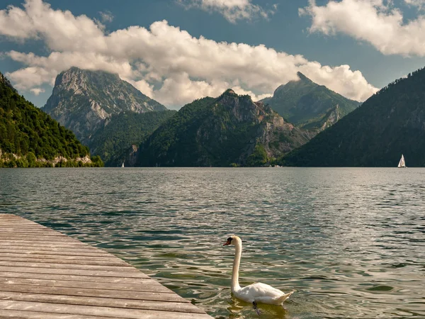 Traunsee (Áustria) lago cisne montanhas e nuvens no verão — Fotografia de Stock