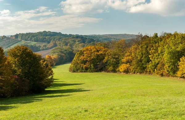 Wiese und Laubwald im Herbst mit bunten Blättern — Stockfoto